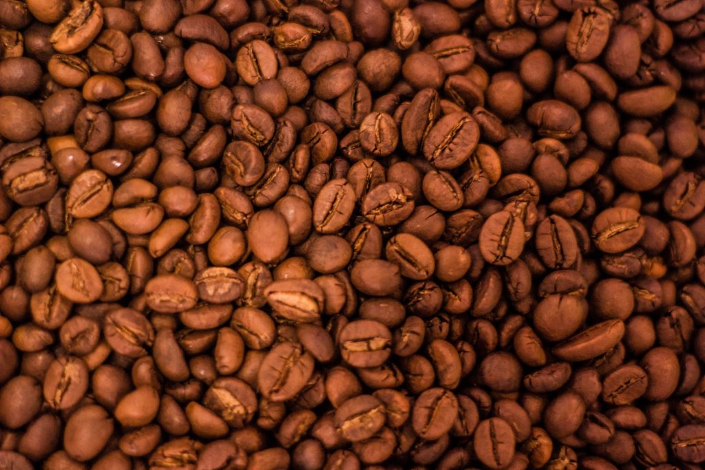 Coffee beans at City roast level